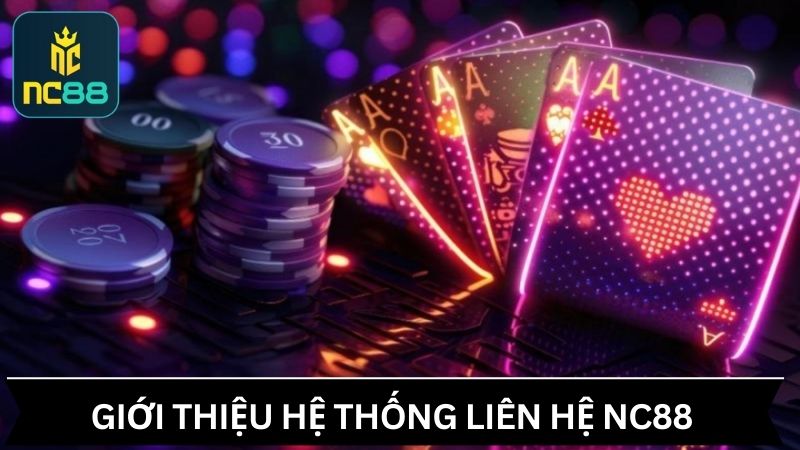 Giới thiệu chi tiết về hệ thống liên hệ trong NC88